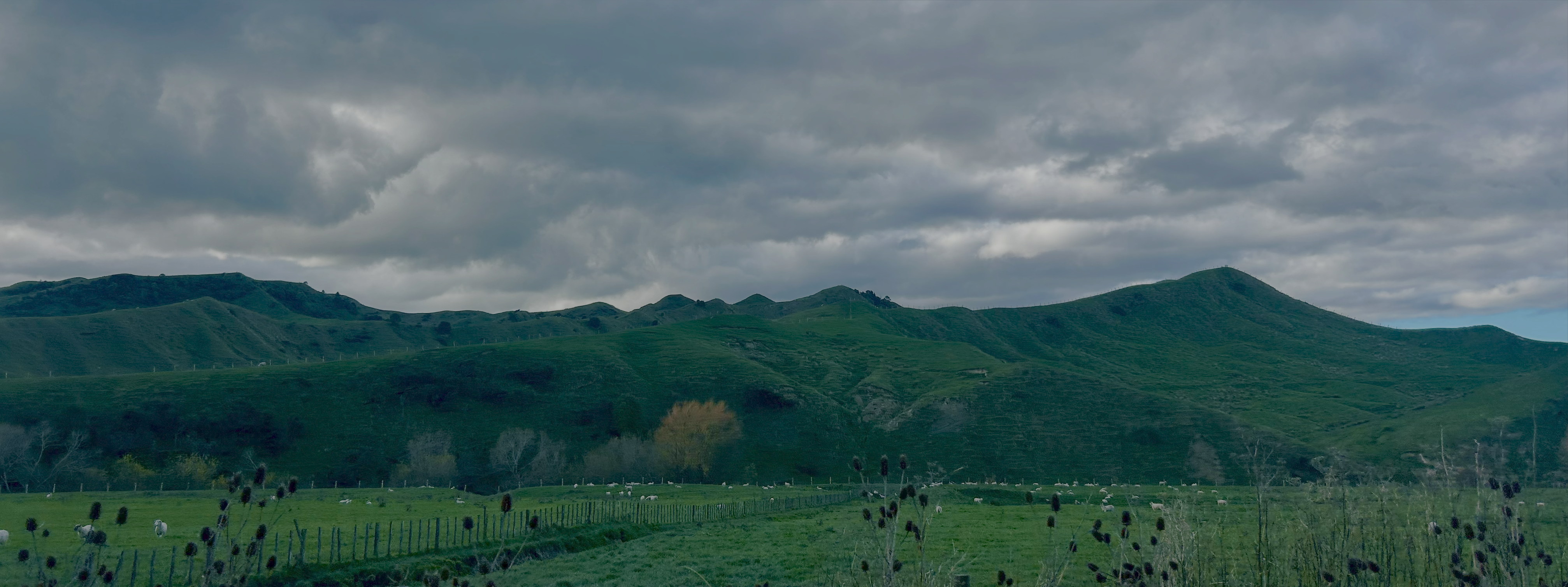 A image that shows a mountain range 